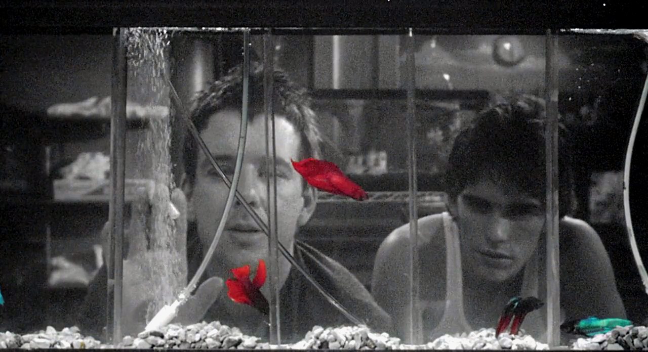 Rumble Fish